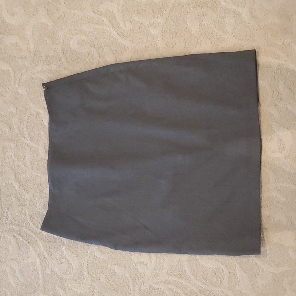 The Limited skirt